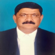 Vice President
